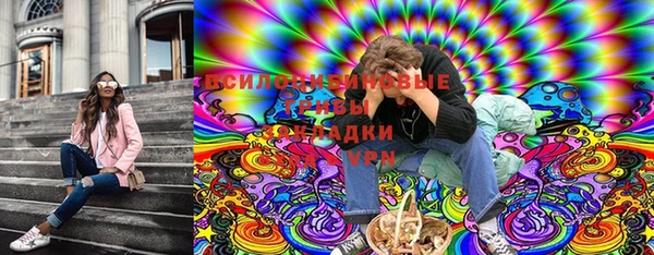дживик Алексин